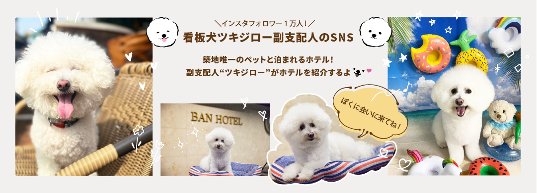 看板犬ツキジロー副支配人のSNS