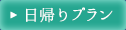 日帰りプラン