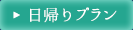 日帰りプラン