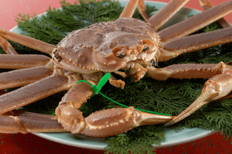 松葉ガニならではの、美味しさをどうぞ。 松葉ガニならではの、美味しさをどうぞ。