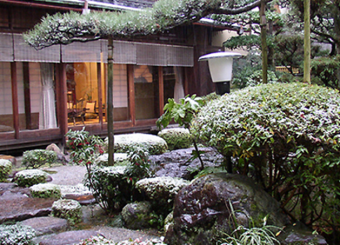 冬 ほんのり雪化粧した 奥庭 冬 ほんのり雪化粧した 奥庭