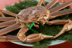 松葉ガニならではの、美味しさをどうぞ。 松葉ガニならではの、美味しさをどうぞ。