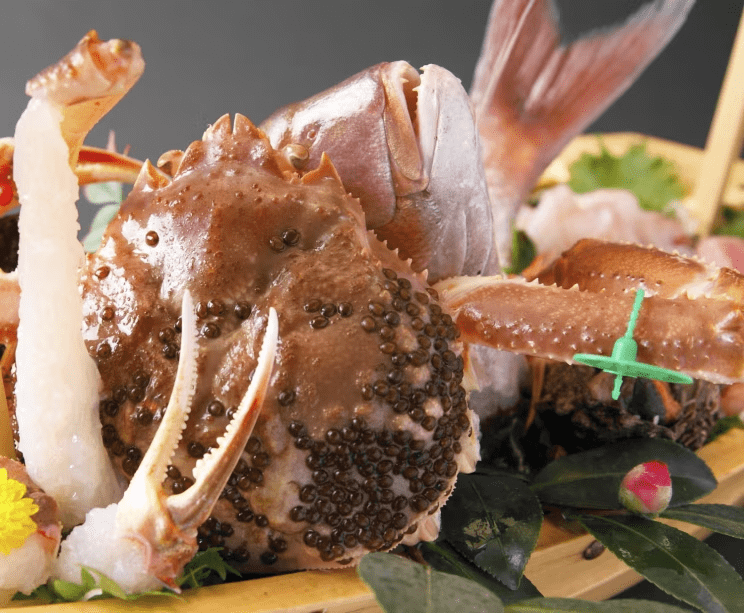 【日帰り昼食】《美味少量》網野大善丸の赤ムツと幻の間人がにプラン