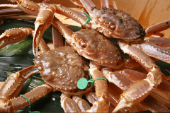 お好み調理＊大判活がに（オス蟹１杯）限定プラン