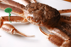 【日帰り昼食】お好み調理＊大判活がに（オス蟹１杯）限定プラン