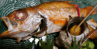 鮮度・質に拘った『丹後の今一番美味しい！』を詰め込んだ海鮮丼！五感で味わう仲買人厳選プラン