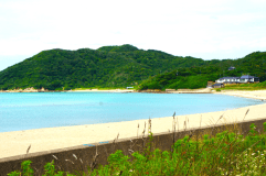 板長おまかせ旬味旬彩プラン　エコノミーコース