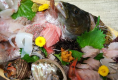 春から秋　豪快活魚　アイナメなど　舟盛10種盛
