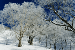 特別室（バストイレ付き）洋室　ストリート側　【禁煙ルーム】