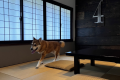 【別館】＜はなちゃん＞大型犬OK！全国的にも珍しいドッグフレンドリールーム