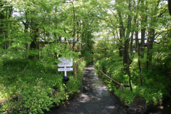 スタンダード　～インターネット予約特典：ワンドリンクサービス＋売店【由布院市】よりお土産～ 《全客室禁煙》