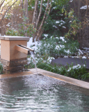 ＜期間限定＞お部屋おまかせプラン 予約特典：ワンドリンクサービス＋売店【由布院市】よりお土産～ 《全客室禁煙》