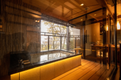 Suite Room (75 sq.m)