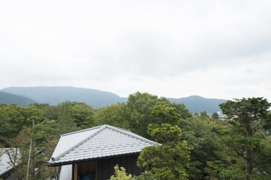 205 SUMIRE (Non-smoking) In-room dining, 66 sqm