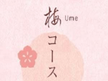 基本プラン　梅コース