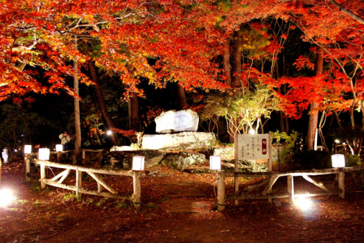 月の石もみじ公園ライトアップ