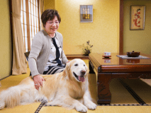 ◆愛犬と泊まれる専用和室<ワイド>◆12畳以上