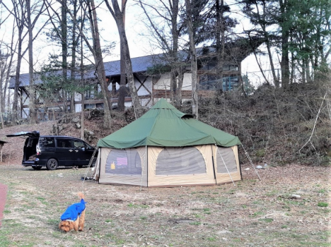 広いオートキャンプサイト(河川）　ペットOK