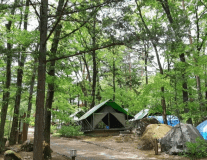 １０人用常設テント