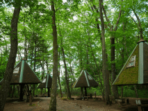 ツリーハウス（5人用）