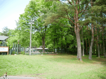 オートキャンプサイト　ペットOK