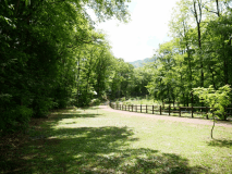 オートキャンプサイト（河川敷・木陰）