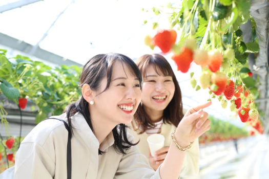 ■□美作農園・いちご狩り□■