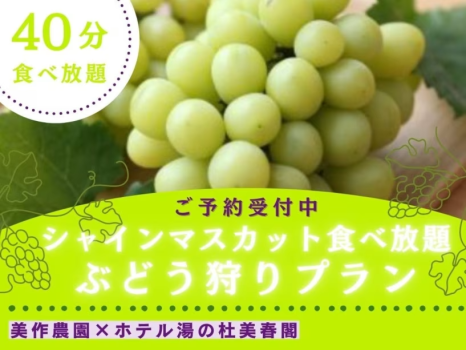 岡山のシャインマスカット食べ放題！ぶどう狩りプラン