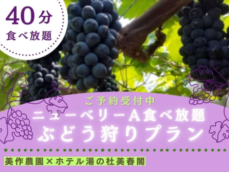 8月16日～9月21日限定！ぶどう狩りをお楽しみくださいませ。（ニューベリーA）