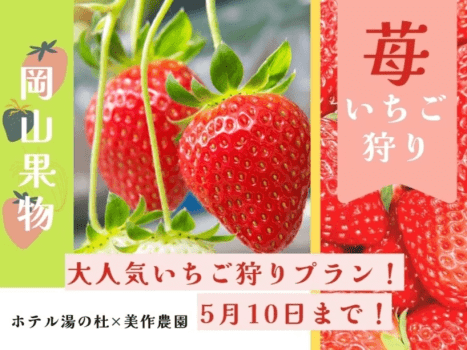 〓公式サイト先行／季節限定〓岡山の旬の果物を堪能♪ホテル湯の杜：地と海のめぐみ会席×美作農園：いちご狩り付プラン