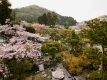 【日本庭園】