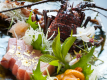 ◆プレミアム会席◆“四季折々”の選りすぐった材料の持ち味を生かし『味よく』『香りよく』『目に美しく』が信条