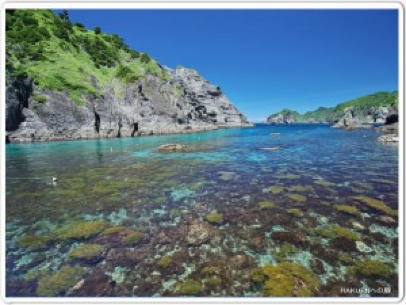 知る人ぞ知るヒりゾ浜は透明度抜群。
一度行ったら忘れられない浜がここにあります 知る人ぞ知るヒりゾ浜は透明度抜群。
一度行ったら忘れられない浜がここにあります