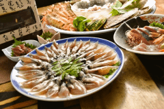 ホタルイカ釜揚げ☆海賊焼きプラン