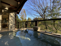 箱根外輪山を望む露天風呂付洋室(45㎡)