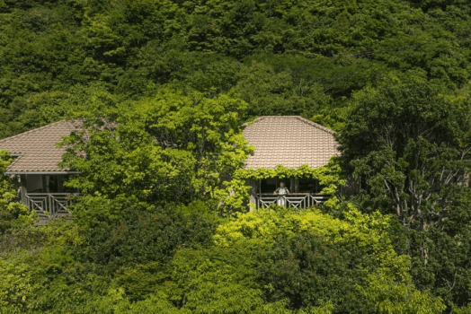 【superior　B-２】you can enjoy the color contrast of Jyashumon&rsquo;s colorful roof