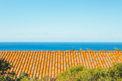 スーペリアＢ－２のバルコニーの向こうには東シナ海の水平線が広がります