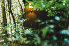 プレミアムＣ－４の外観