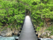秋山郷　見倉のつり橋