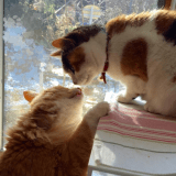 栗ちゃんとすみれちゃんのツーショット。