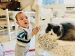 動物好きのお客様は優しく素敵な方々でとても嬉しいです。猫たちもお客様が大好きです。