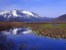 【2026尾瀬】仙郷へ泊まって尾瀬散策へGO&rarr;尾瀬ハイクプラン