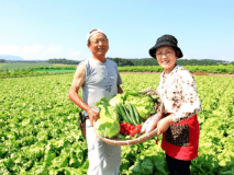 【ネット予約限定！！】お手軽1泊２食付プラン－現金払特価－