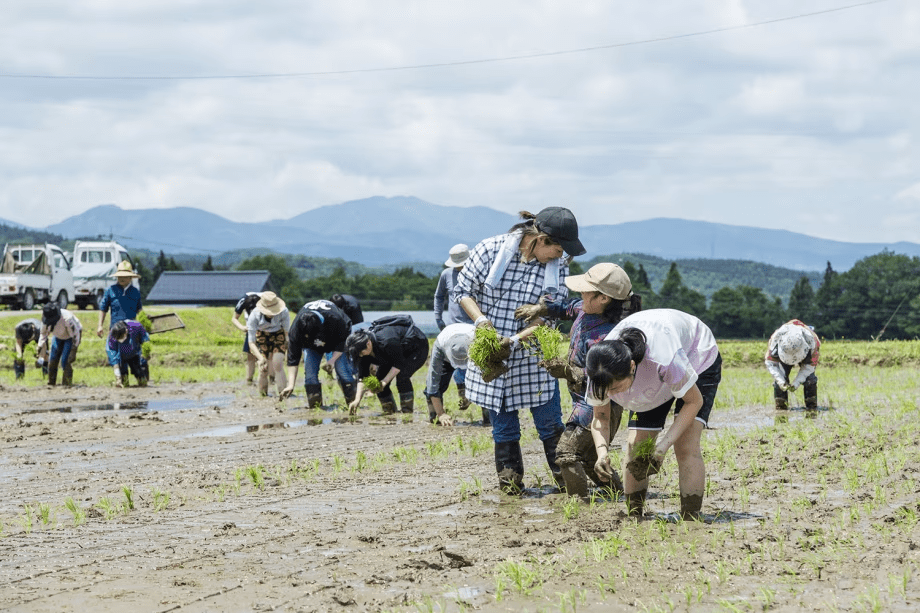【田植え体験】大人もこどもも、思わず夢中になって体験していただけます