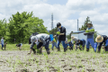 【田植え体験】大人もこどもも、思わず夢中になって体験していただけます