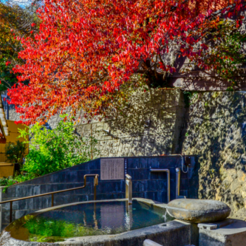 【西湯】烏帽子山の紅葉が楽しめる露天風呂。目に鮮やかな木々を眺めながら是非♪♪
