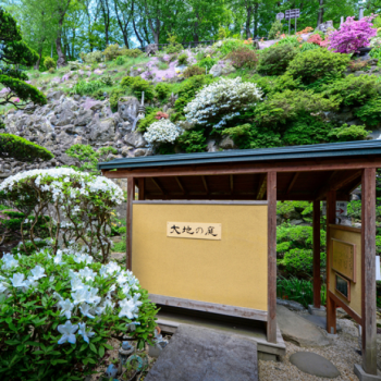 【御殿守歳時記】中庭「大地の庭」は丁寧に手入れを行っており四季折々の花が楽しめます。
