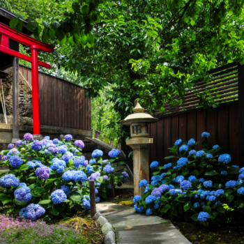 【館内で楽しむ】花見の足湯の側には当館の屋敷明神をお祀りしています。夏には撫子や紫陽花が咲きとても美しい景色が楽しめます。
