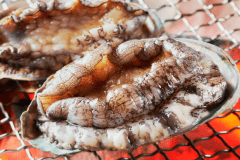 南伊豆で育った最高級の鮑を、新鮮だからこそ楽しめる【踊り焼き】でご提供いたします。