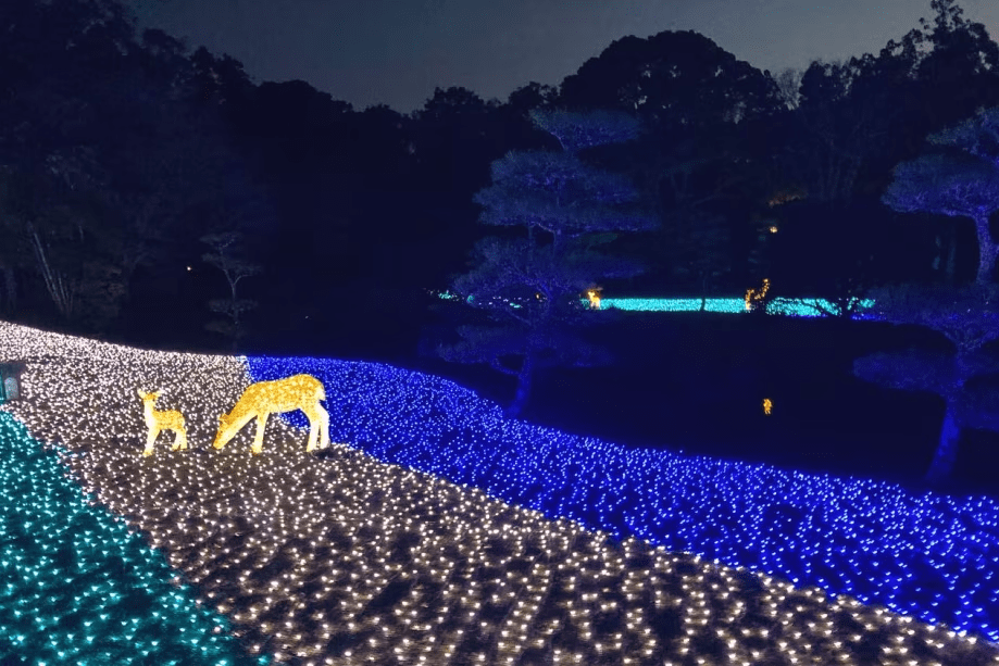 【なら瑠璃絵開催限定プラン・1泊朝食付】～瑠璃絵2026 光の夜・朝はゆっくりプラン～